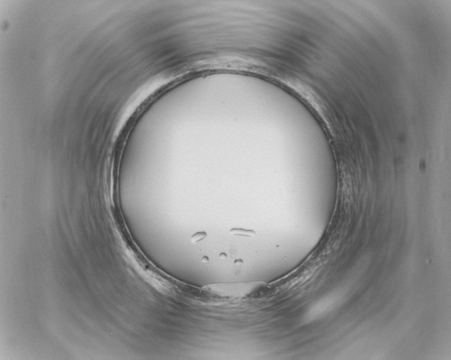 X0000059061131200511041721