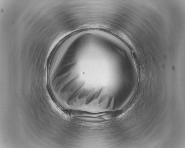 X0000059061132200511041721