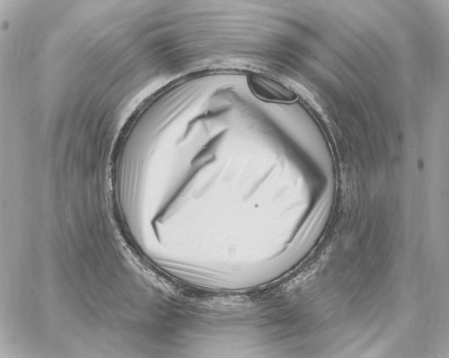 X0000059061133200511041721