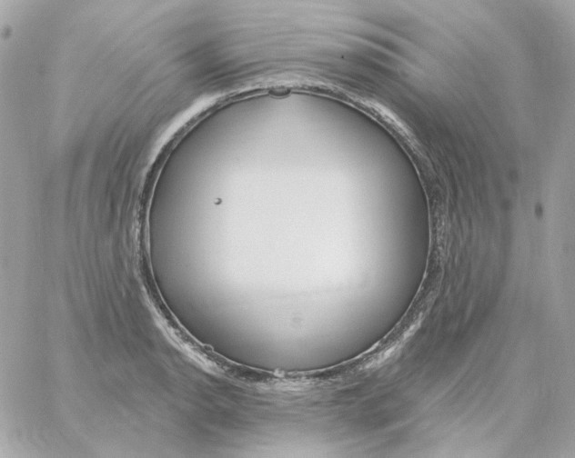 X0000059061134200511041721