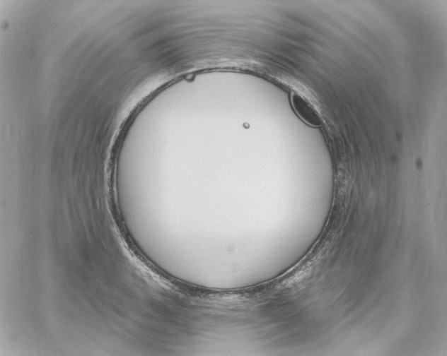 X0000059061135200511041721