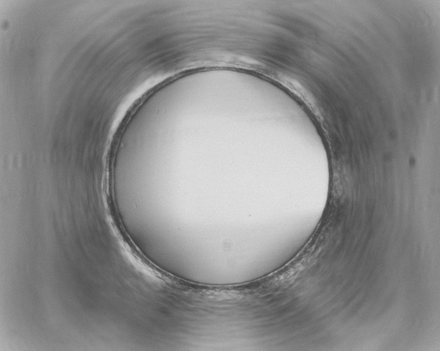 X0000059061136200511041721