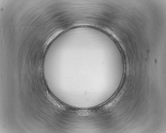 X0000059061137200511041722