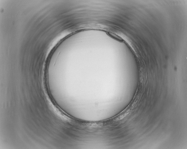 X0000059061139200511041722