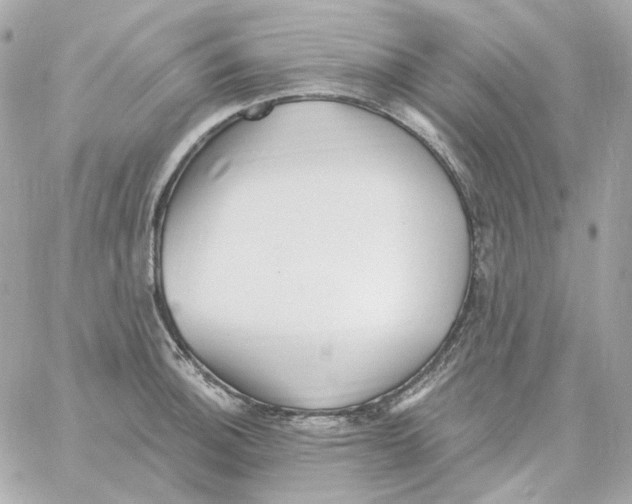 X0000059061140200511041722