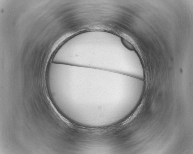 X0000059061141200511041722