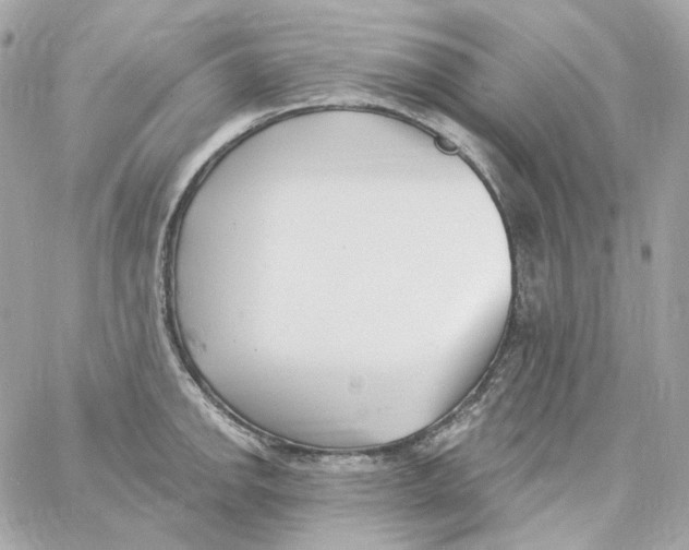 X0000059061142200511041722