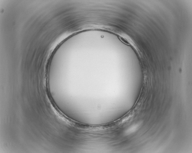 X0000059061143200511041722