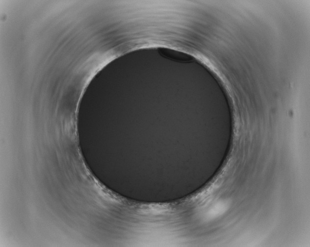 X0000059061145200511041722