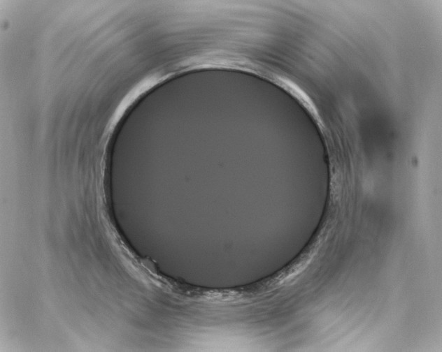 X0000059061146200511041722