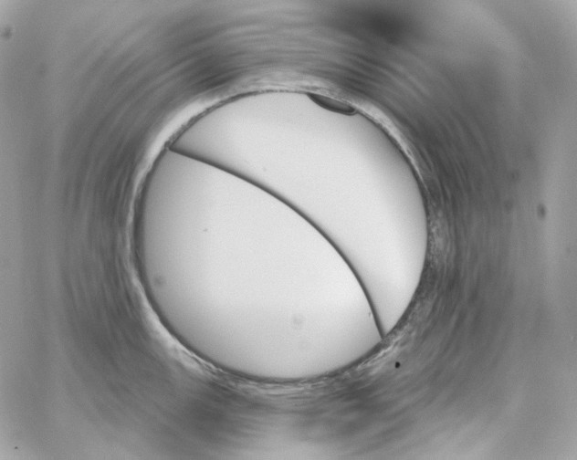 X0000059061147200511041722