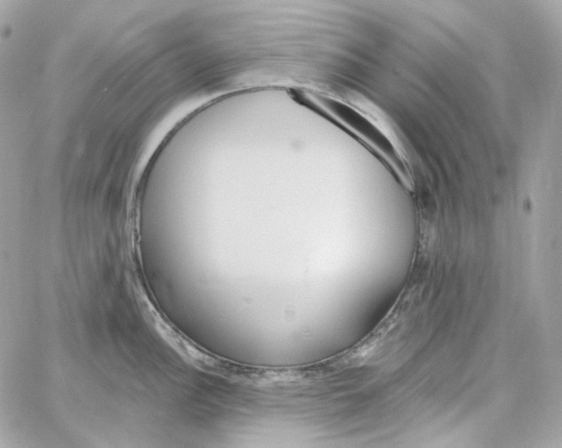 X0000059061148200511041722