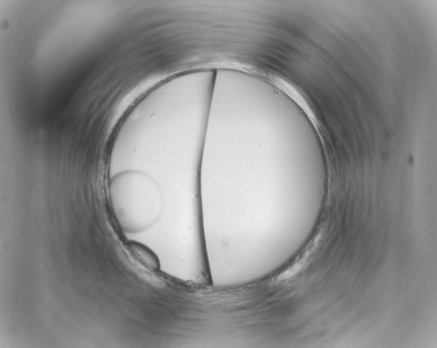 X0000059061149200511041722