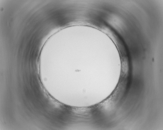 X0000059061150200511041722