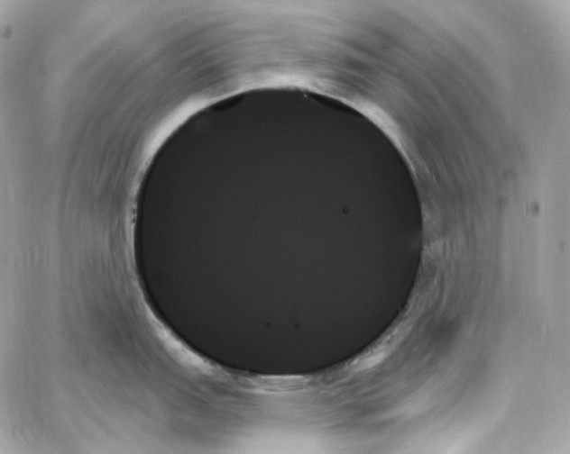 X0000059061151200511041722