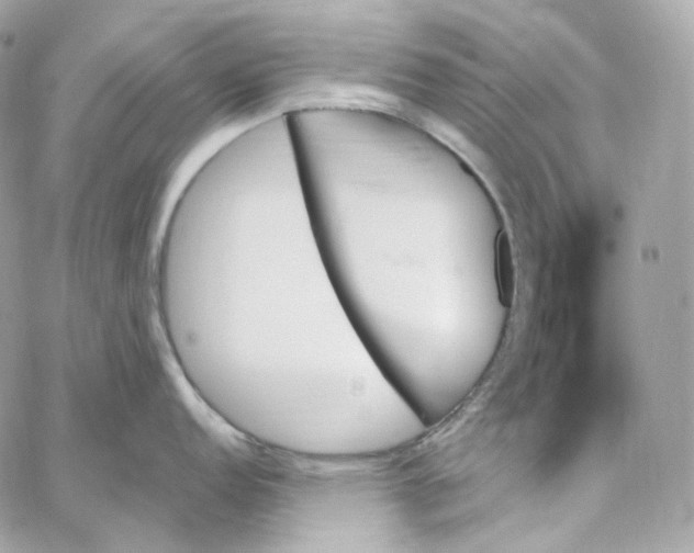 X0000059061152200511041722