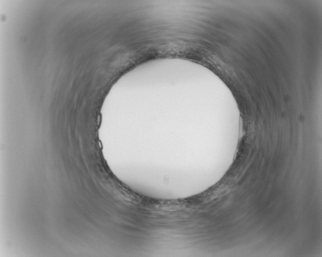 X0000059061153200511041721