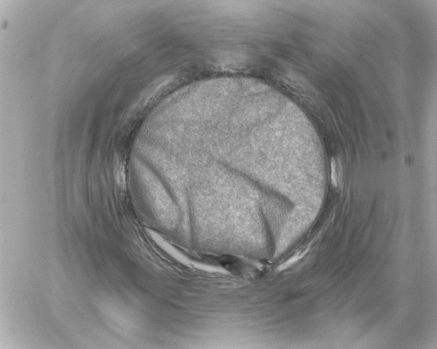 X0000059061155200511041721