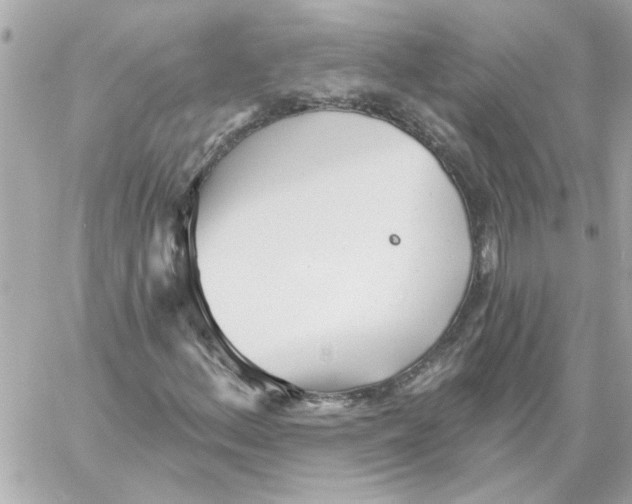 X0000059061156200511041721