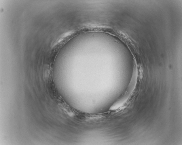 X0000059061157200511041721