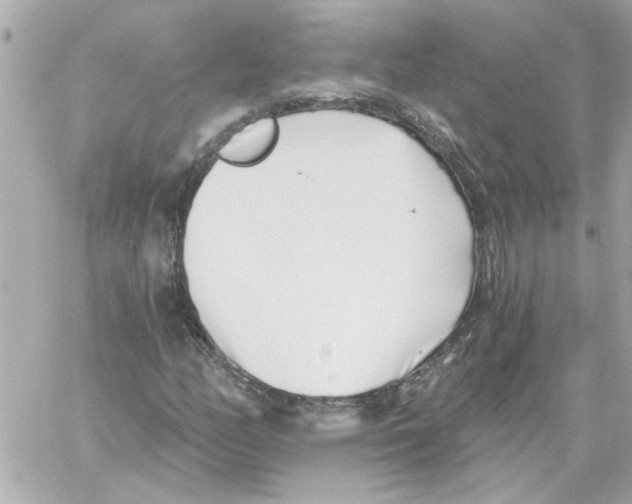 X0000059061158200511041721