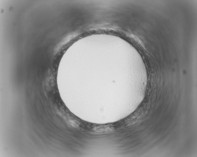 X0000059061159200511041721