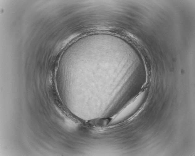 X0000059061161200511041721