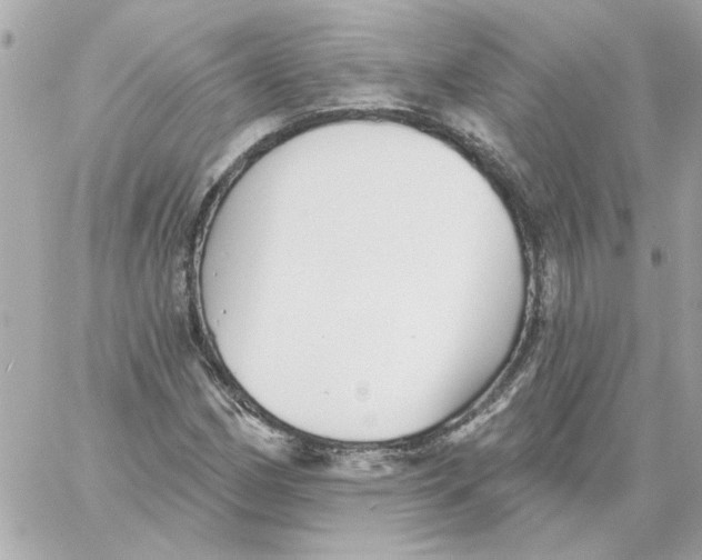 X0000059061162200511041721