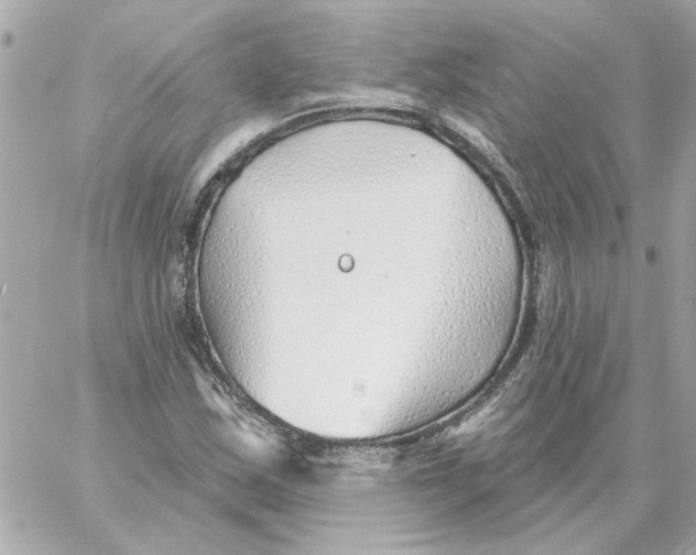 X0000059061163200511041721