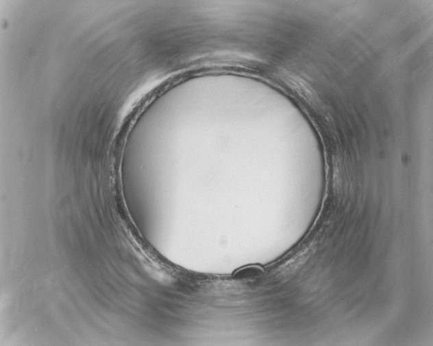 X0000059061164200511041721