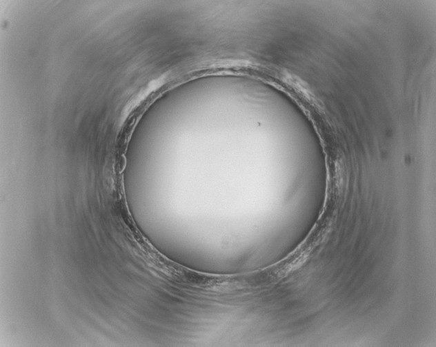 X0000059061165200511041721