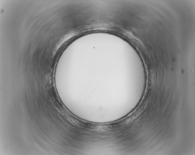 X0000059061166200511041721