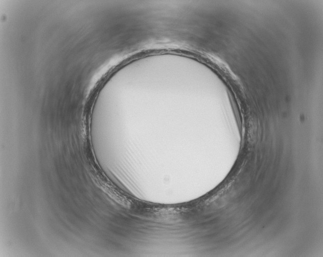 X0000059061167200511041721