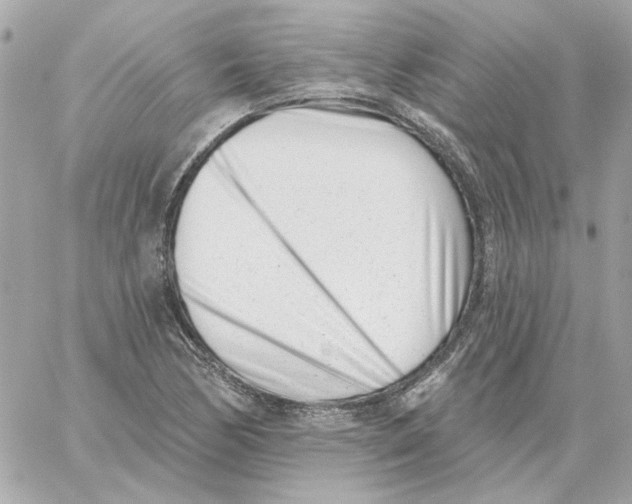 X0000059061170200511041721