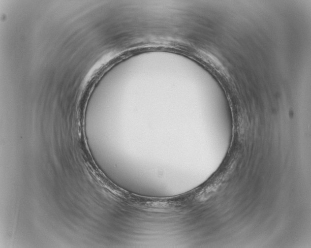 X0000059061172200511041721