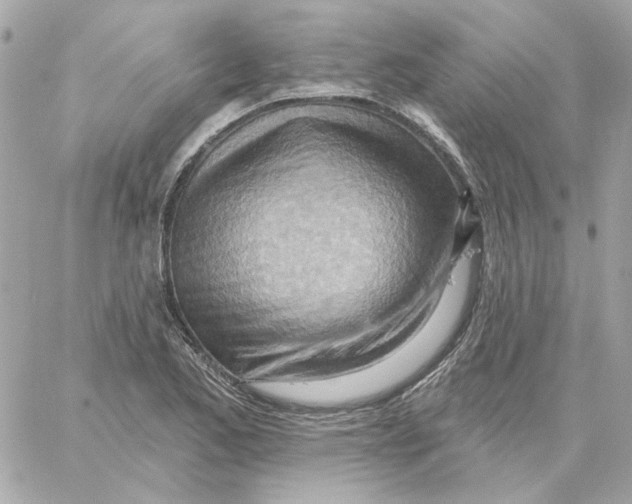 X0000059061173200511041721