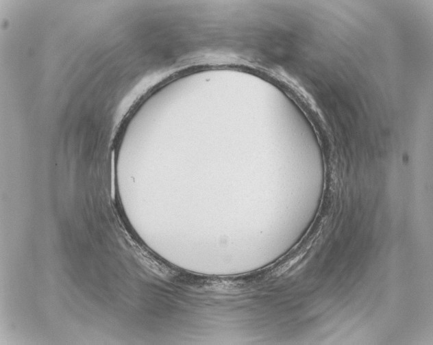 X0000059061175200511041721