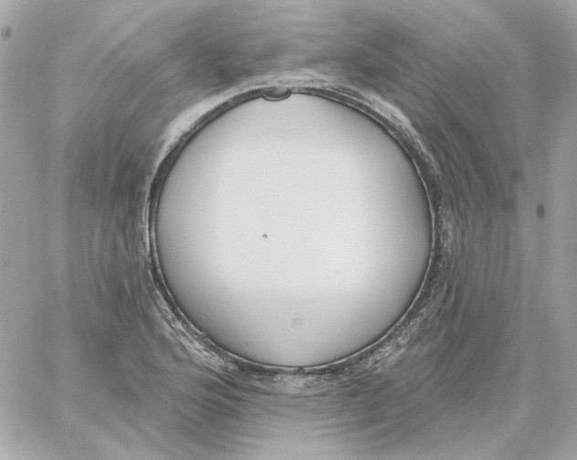 X0000059061176200511041721