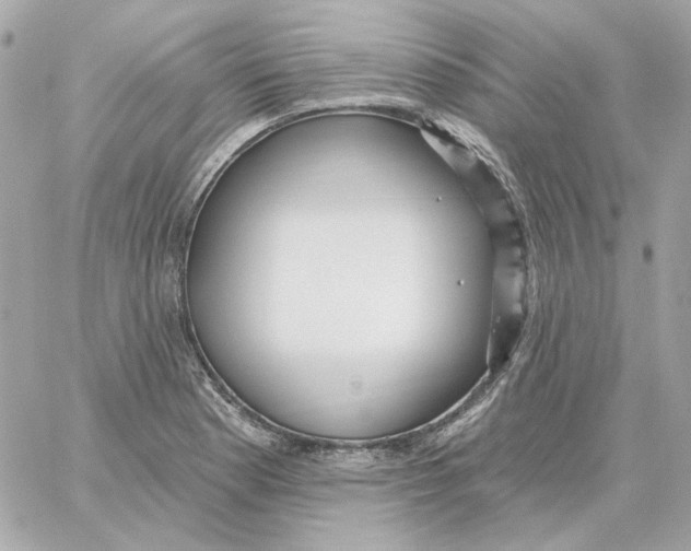 X0000059061177200511041721