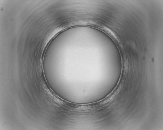 X0000059061178200511041721