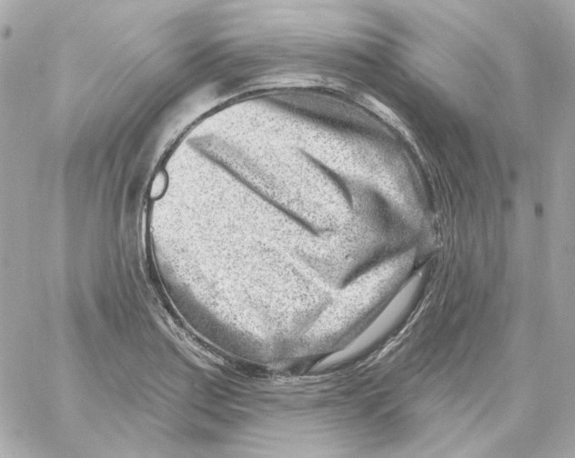 X0000059061179200511041721