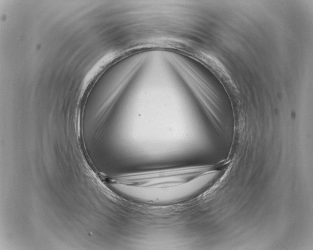 X0000059061180200511041721