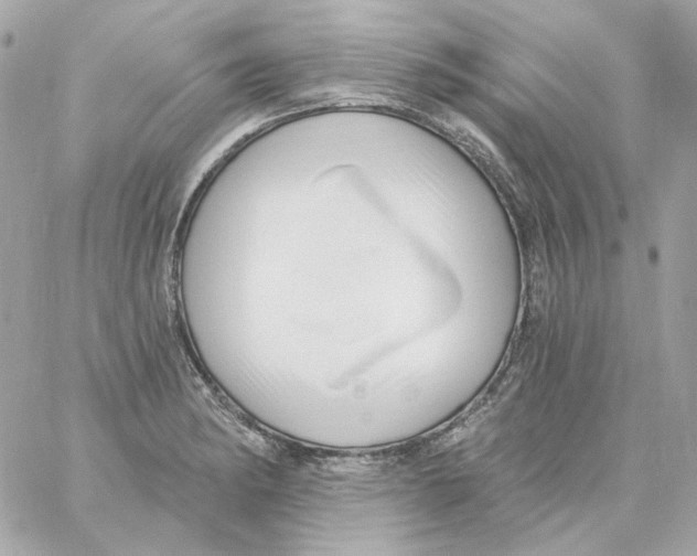 X0000059061182200511041720