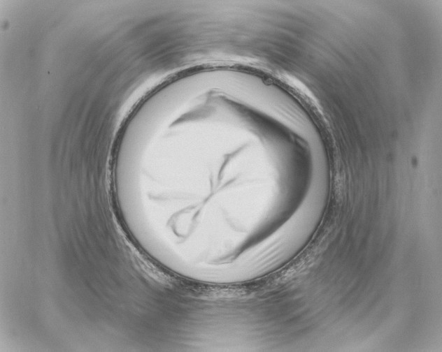 X0000059061183200511041720