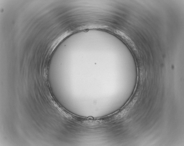 X0000059061185200511041720