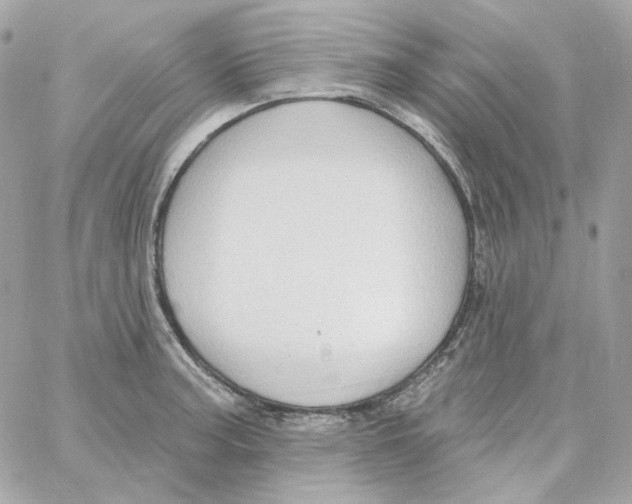 X0000059061187200511041720