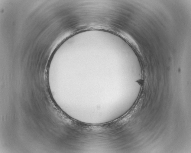 X0000059061190200511041720