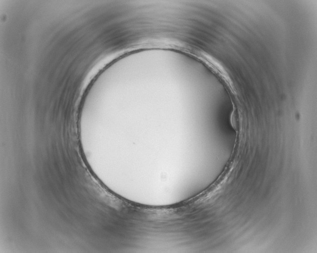 X0000059061192200511041720