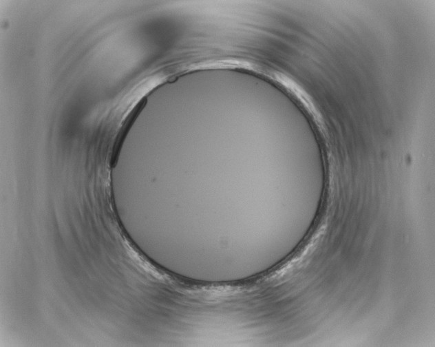 X0000059061193200511041720