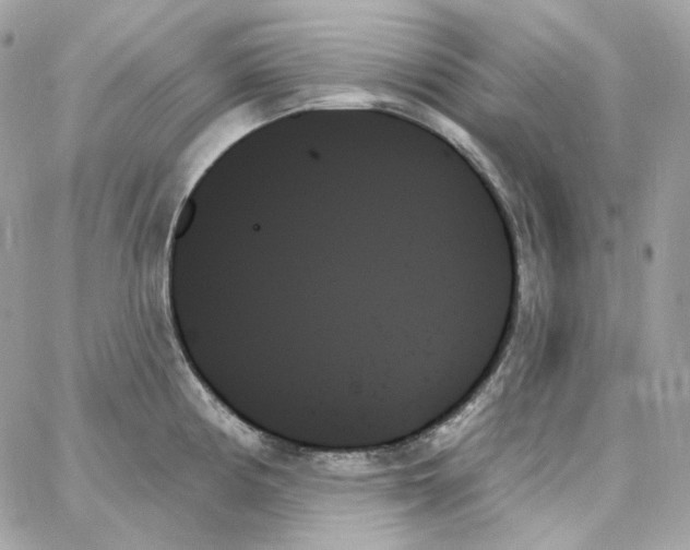 X0000059061194200511041720